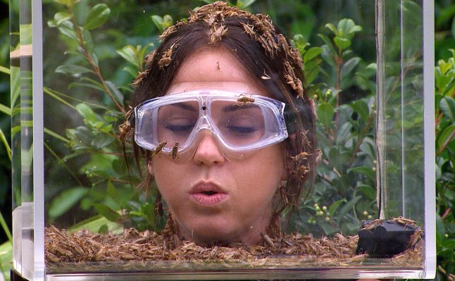 Vicky Pattison on I'm a Celebrity, with her head in a plastic box of bugs