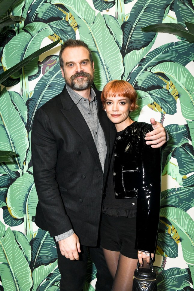 Mandatory Credit: Photo by Joe Schildhorn/BFA.com/REX/Shutterstock (14099858ae) David Harbour, Lily Allen CHANEL AND W MAGAZINE DINNER TO CELEBRATE SOFIA COPPOLA ARCHIVE 1999-2023 IN NEW YORK CITY, Indochine, NYC, Manhattan, New York, United States - 14 Sep 2023