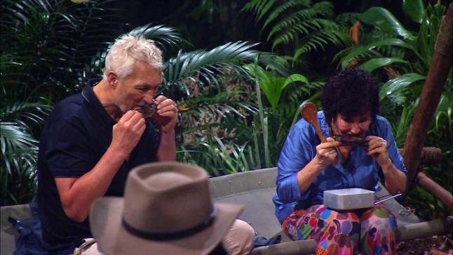 STRICT EMBARGO - NOT FOR USE BEFORE 22:35 GMT, 16 Nov 2025 - EDITORIAL USE ONLY Mandatory Credit: Photo by ITV/Shutterstock (15824896af) Losers Enter Camp - Martin Kemp and Ruby Wax 'I'm a Celebrity... Get Me Out of Here!' TV show, Series 25, Show 1, Australia - 16 Nov 2025