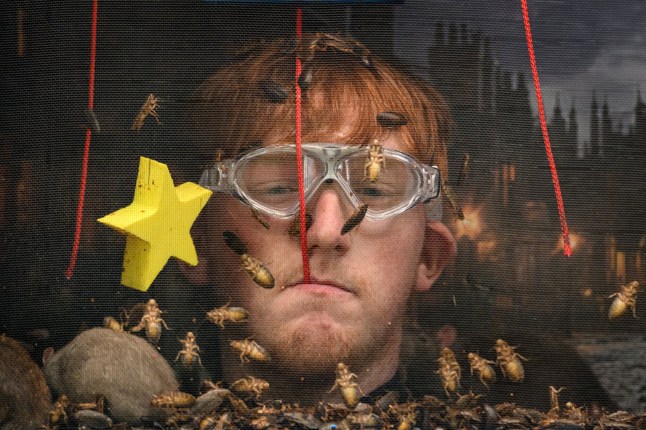 STRICT EMBARGO - NOT FOR USE BEFORE 22:00 GMT, 23 Nov 2025 - EDITORIAL USE ONLY Mandatory Credit: Photo by James Gourley/ITV/Shutterstock (15892738u) Bushtucker Trial, Terror-Flying Tours - Angry Ginge 'I'm a Celebrity... Get Me Out of Here!' TV show, Series 25, Show 8, Australia - 23 Nov 2025