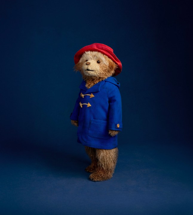 EMBARGOED TO 2000 SATURDAY NOVEMBER 1 Undated handout photo issued by Kate Morley PR of first-look images which have been released of the bear portraying Paddington for the new West End musical inspired by the beloved children's books and films. Paddington The Musical, which begins previews at London's Savoy Theatre on Saturday, follows the small bear from Peru as he is taken in by the Brown family after a chance meeting at a London railway station. Issue date: Saturday November 1, 2025. PA Photo. Photo credit should read: Jay Brooks/PA Wire NOTE TO EDITORS: This handout photo may only be used in for editorial reporting purposes for the contemporaneous illustration of events, things or the people in the image or facts mentioned in the caption. Reuse of the picture may require further permission from the copyright holder.